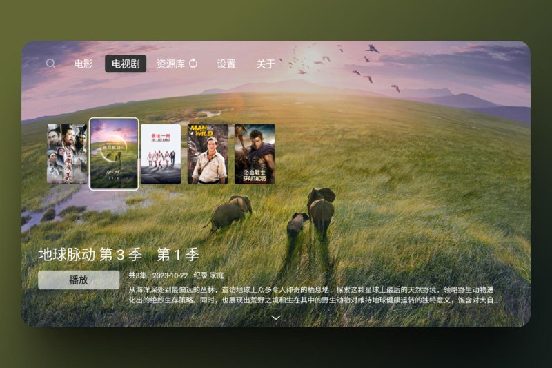 一款安卓TV播放器:云影院 1. 支持所有音视频格式，支持4K、蓝光，包含 .ts，.m2ts，.iso等格式 2. 支持本地、SMB、WEBDAV、百度网盘、阿里云盘、115云盘、Emby挂载 3. 刮削视频，生成海报 4. 支持 