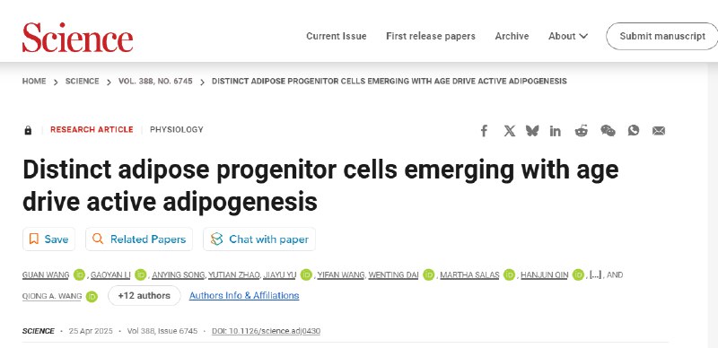 中年发福的元凶找到了！科学家发现"脂肪制造工厂"《Science》最新研究揭示，中年期内脏脂肪异常堆积与特定前体细胞亚群（CP-A）密切相关
